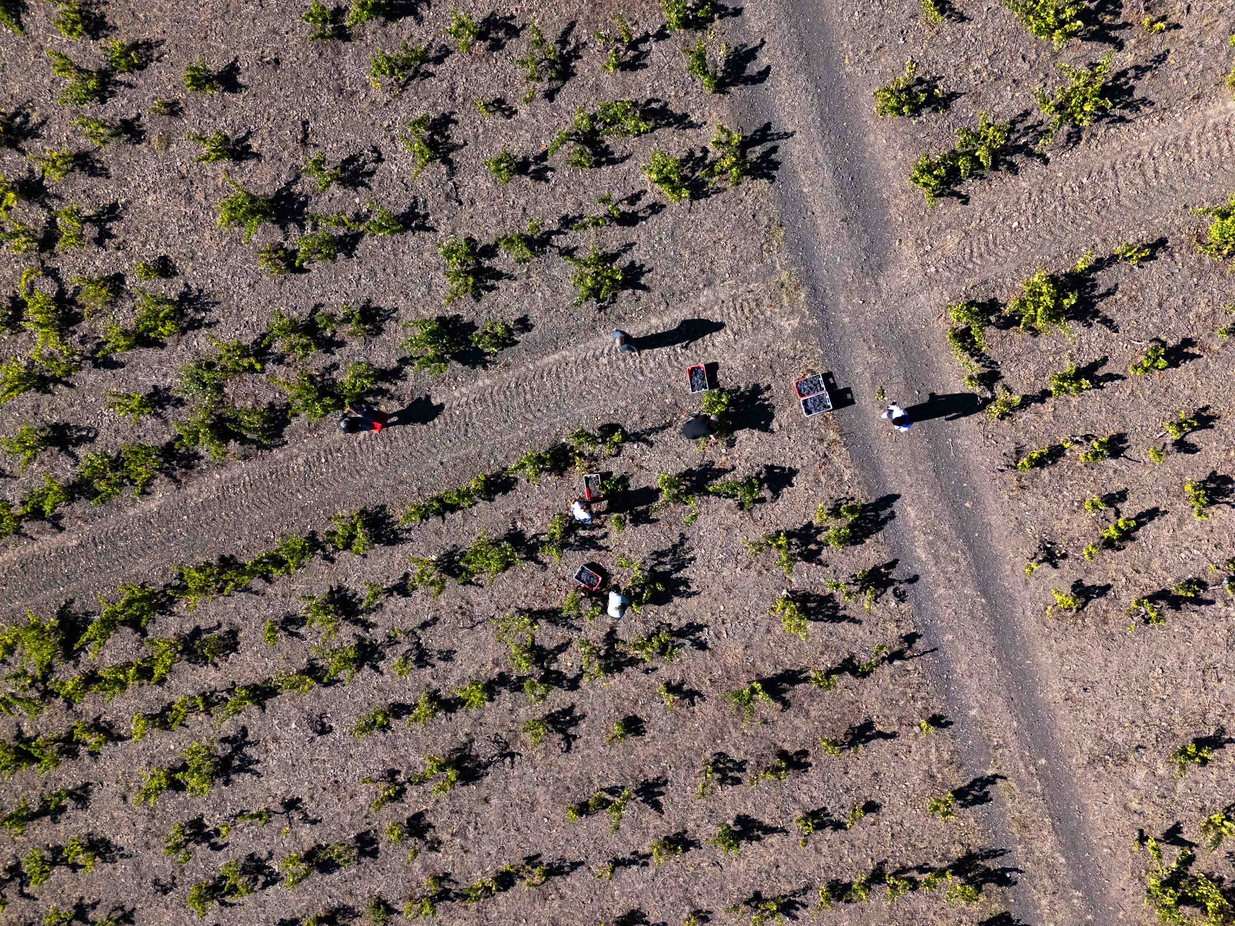 Chartières vues du ciel